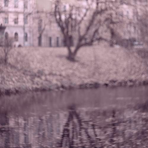 Photo #13319139
