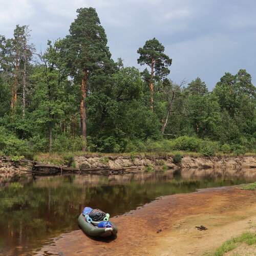 Photo #13319159