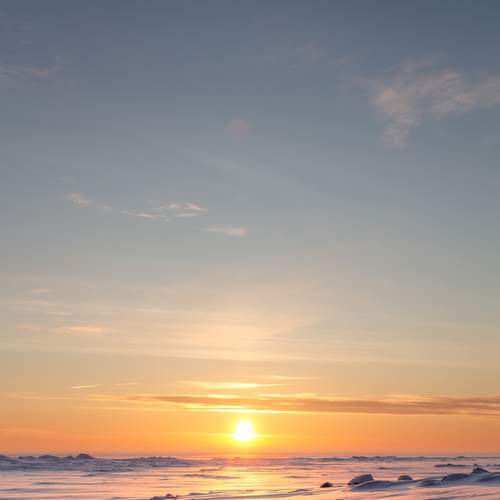 Photo #13319173