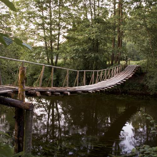 Photo #13319269