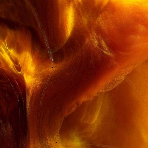 Photo #13319312