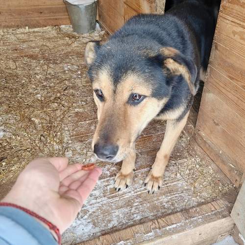 Photo #13319358