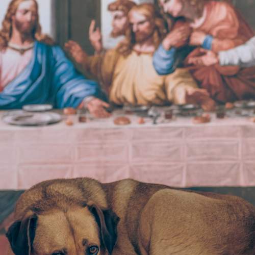 The look, the old trick ...