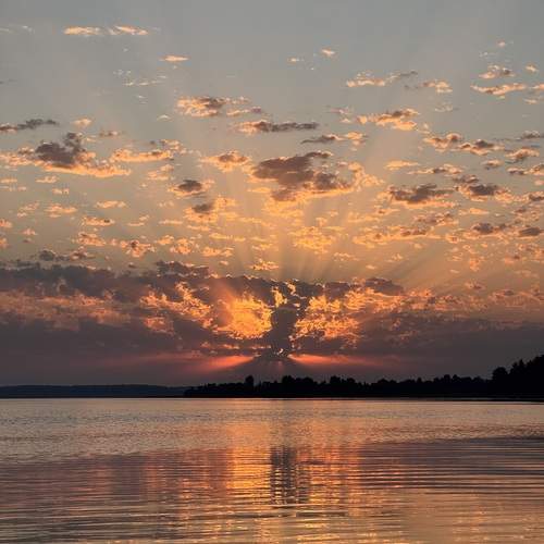 Photo #13319481