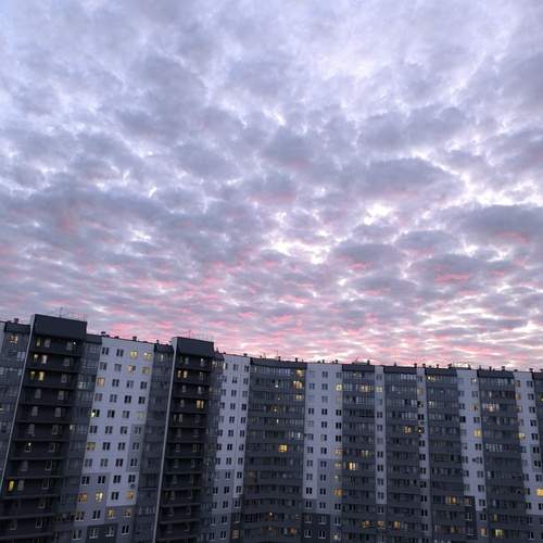 Photo #13319522