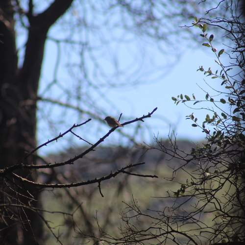 Photo #13319541