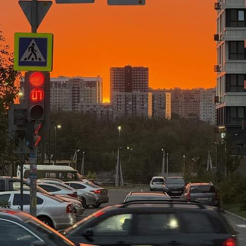 Photo #13319676