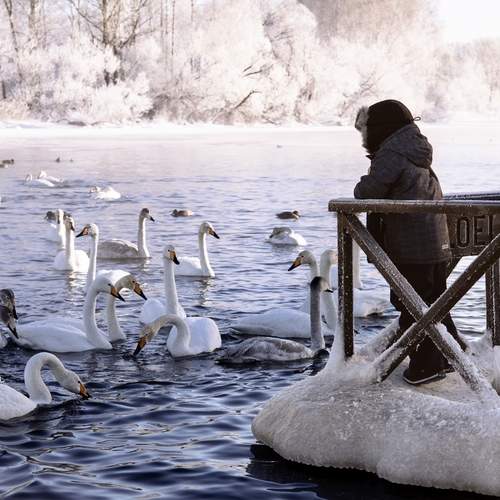 Photo #13319677