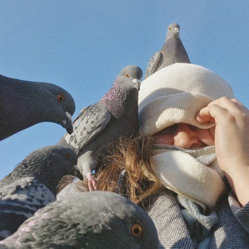 Photo #13319723