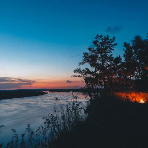 Photo #13319762