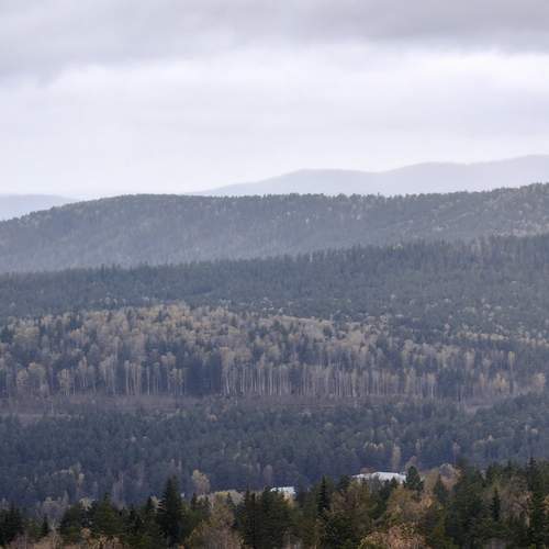 Photo #13319803