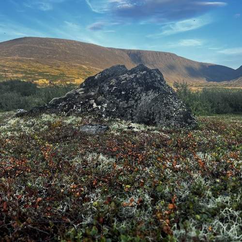 Ловозёрская тундра