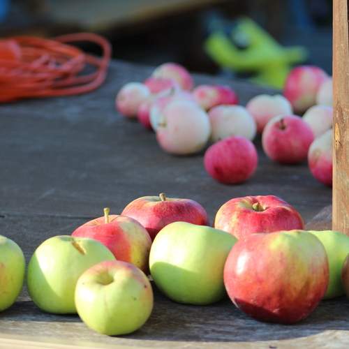 Photo #13320027
