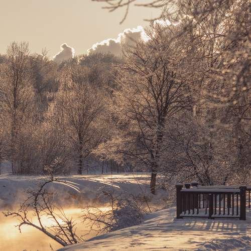 Photo #13320090