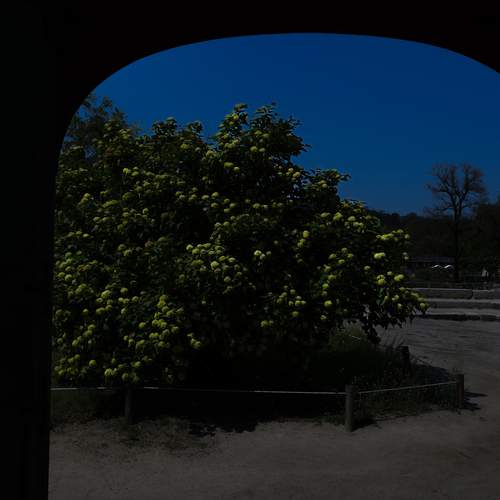 Photo #13320246