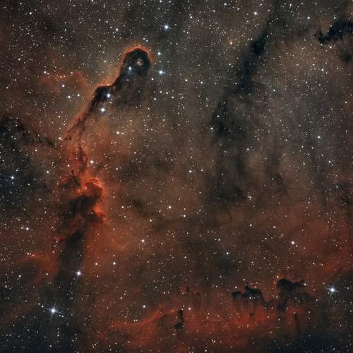Photo #13320343