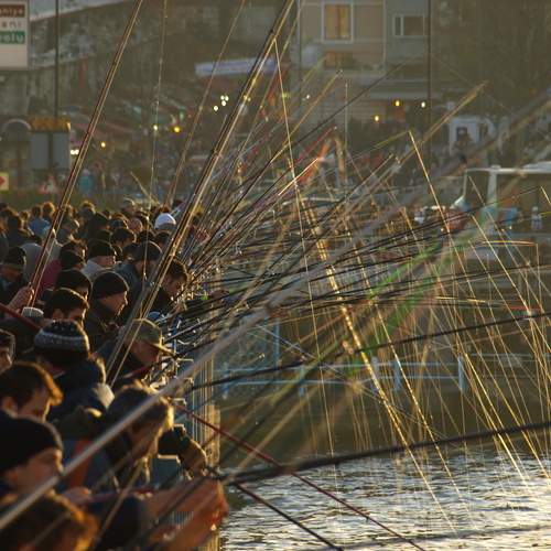 Photo #13320361