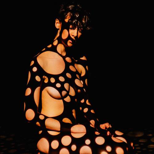 Photo #13320391