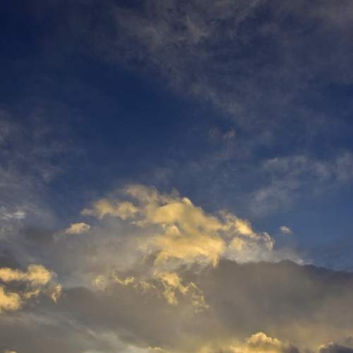 Photo #13320434