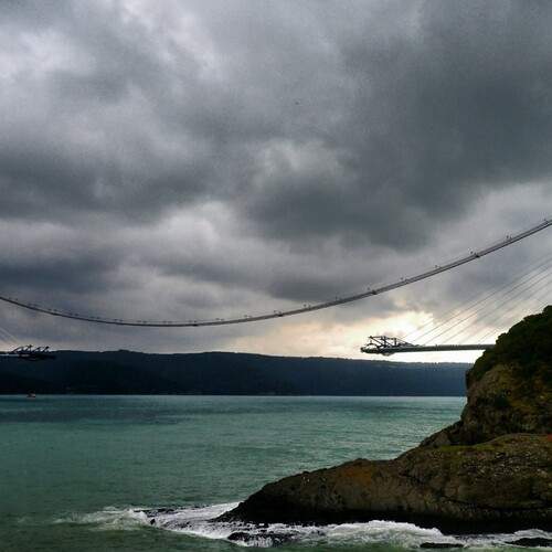 Photo #13320533