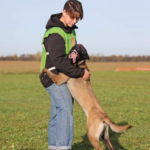 Photo #13320537