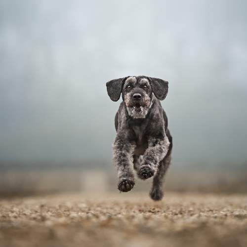 Фотография #13320606