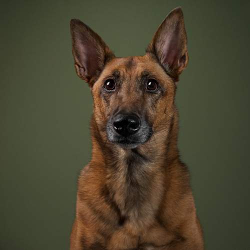 Фотография #13320617