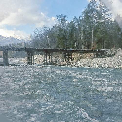 Photo #13320686