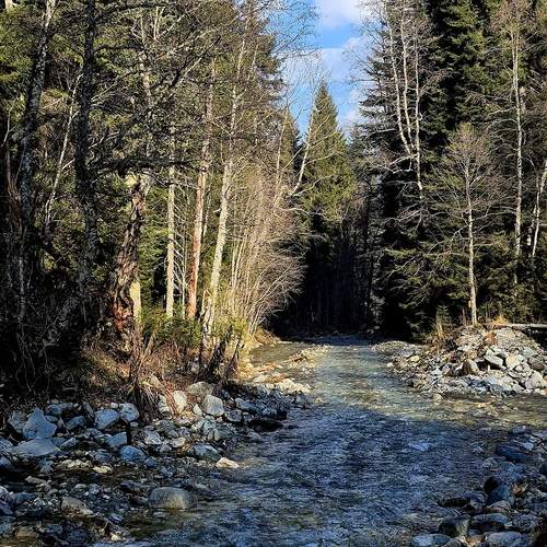 Photo #13320688