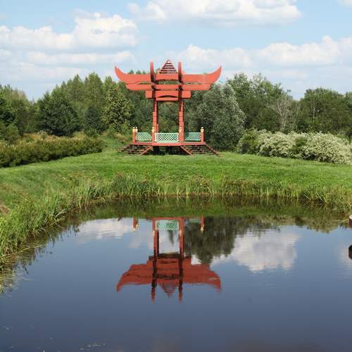 Photo #13320742
