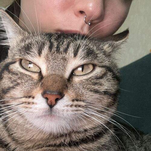 Photo #13320776