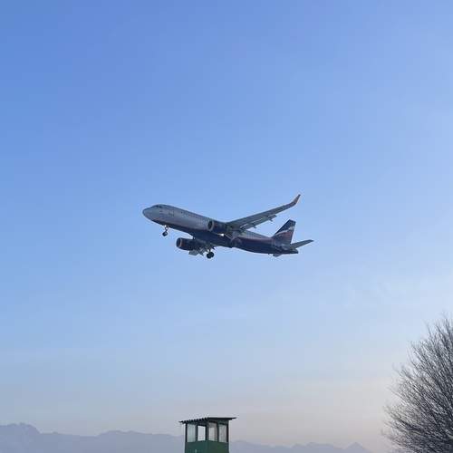 Photo #13320818
