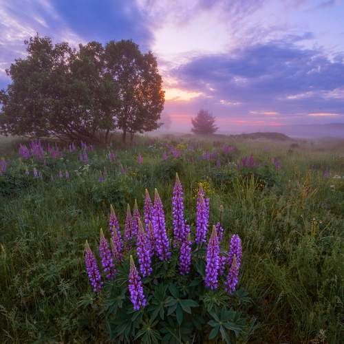 Фотография #13320848