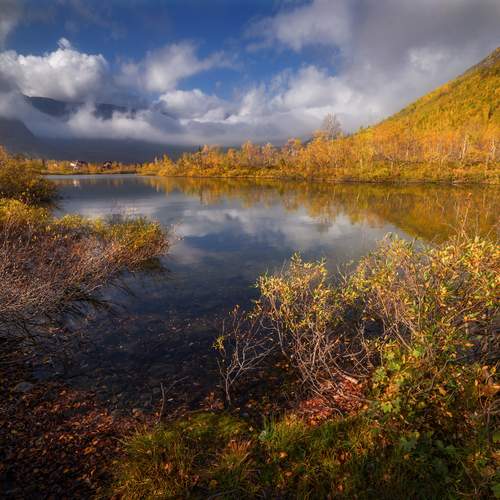 Фотография #13320850