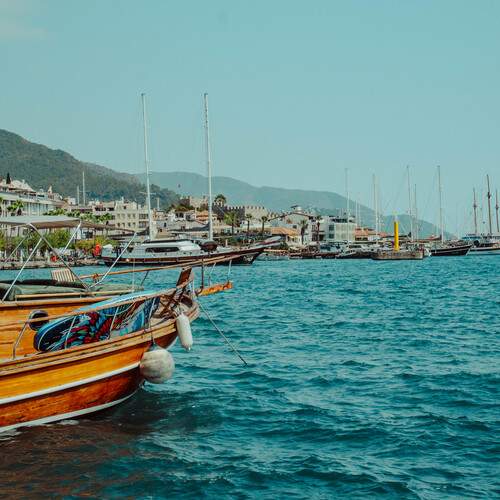 Photo #13320899
