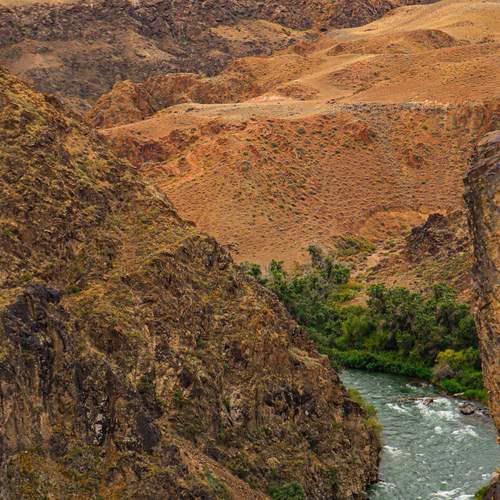 Photo #13320920