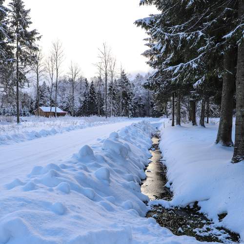 Photo #13320970
