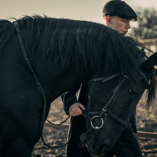 A young man with a Friesian horse