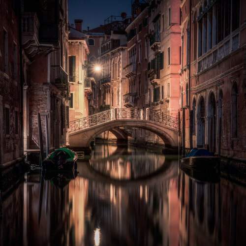Photo #13321033