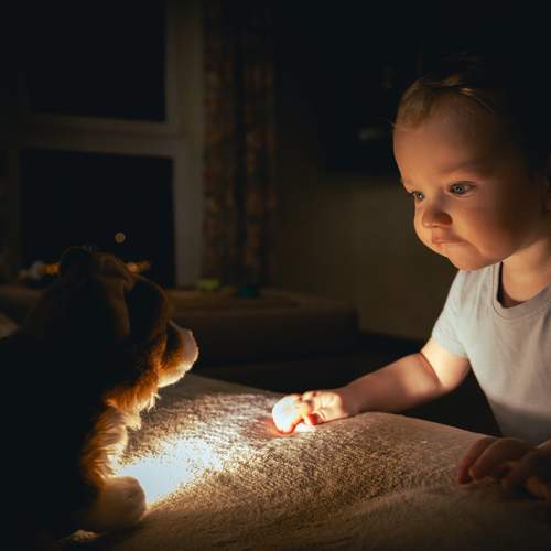 Photo #13321056
