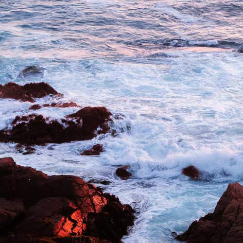 Photo #13321131