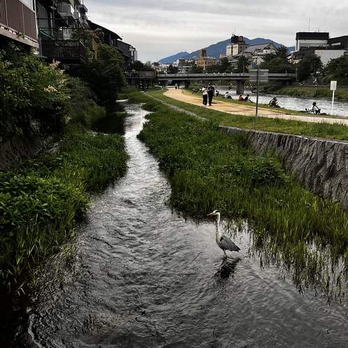 Photo #13321236
