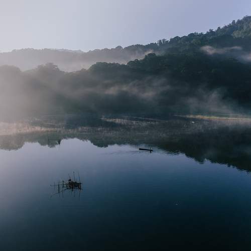 Photo #13321267