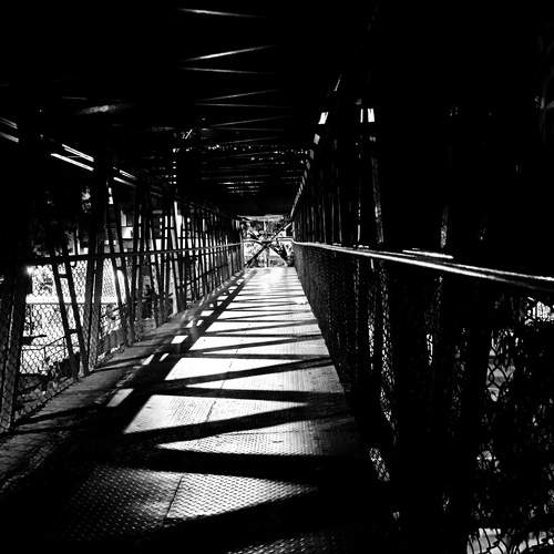 Photo #13321280