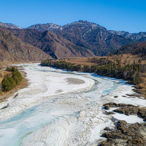 Photo #13321347