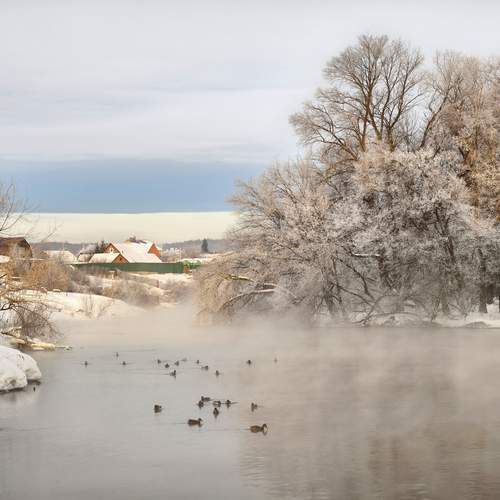 Photo #13321387