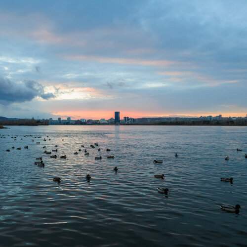 Photo #13321416