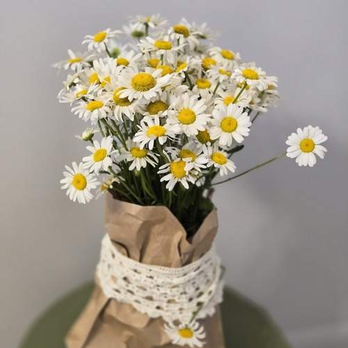 Photo #13321501
