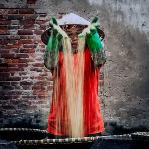 Фотография #13321572