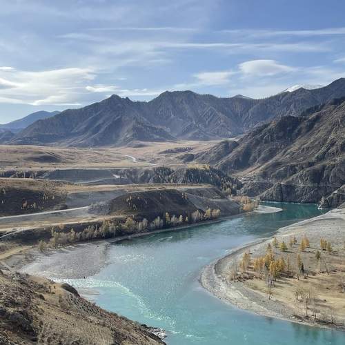 Photo #13321635